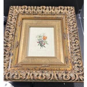 Jasmin blane Fraise Tulip Painting